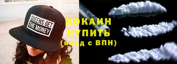 СК Новозыбков