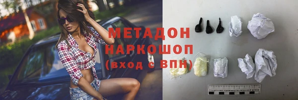 стаф Алзамай