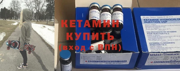 стаф Алзамай
